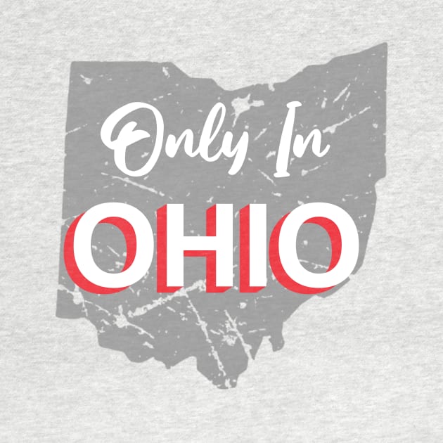 Funny Ohio Meme by FreckleFaceDoodles